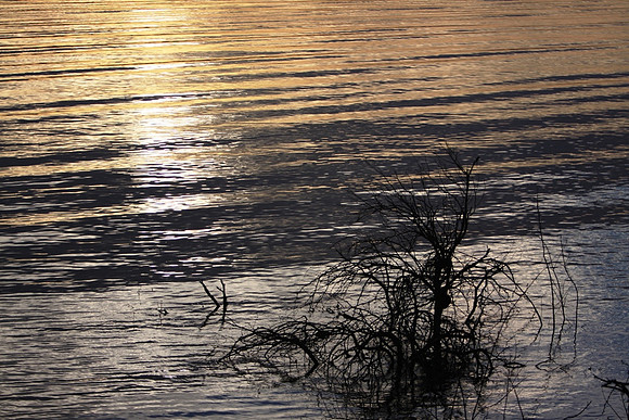 Gentle Waves
