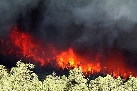 Wallow Fire in Greer