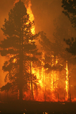 Torching Out