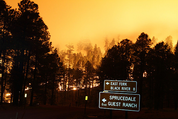 These signs reminded me of what may have been lost as the Wallow Fire pushed north.