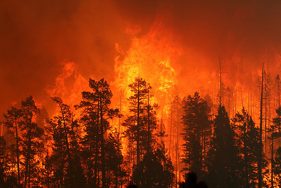 Significant Heat