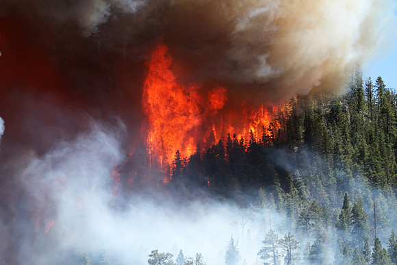 Wallow Fire in Greeer