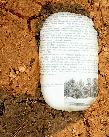 A charred page likely from a residence destroyed in the Wallow Fire