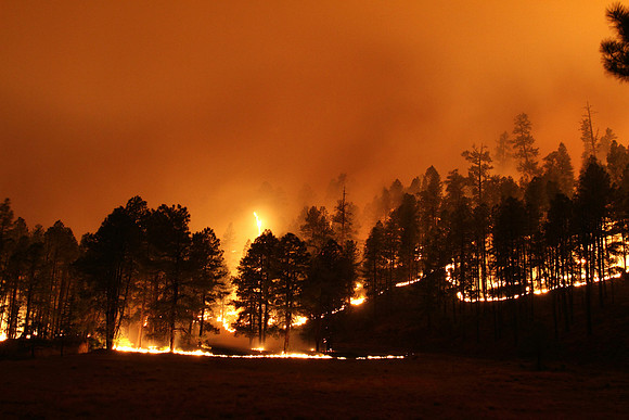 Spot Fires grow together at night on the Wallow Fire