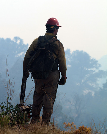 A hotshot scans the area for spot fires.