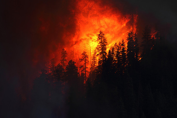 Under the column on the Wallow Fire