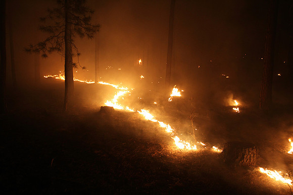 Fire backs slowly through the fuels treatment south of Alpine.