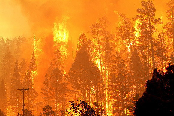 Intense Heat