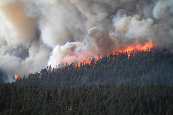 The Wallow Fire moves closer to Sprucedale