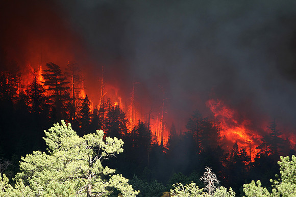 Wallow Fire along East Fork in Greer